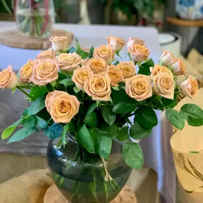 Instagram image