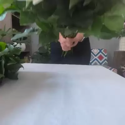 Obrázek z Instagramu