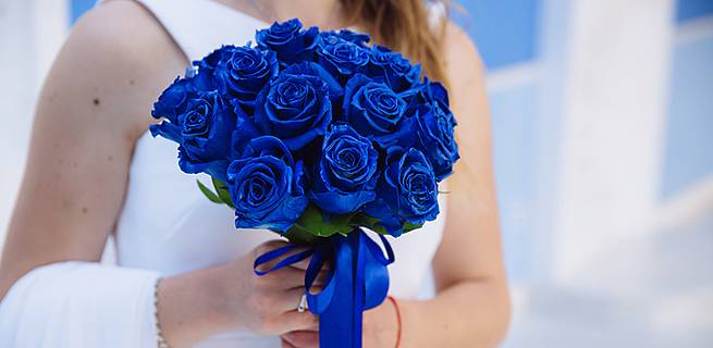 Historie modrých růží | KvětinyOnline