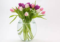 5 tipů na nejkrásnější vázy