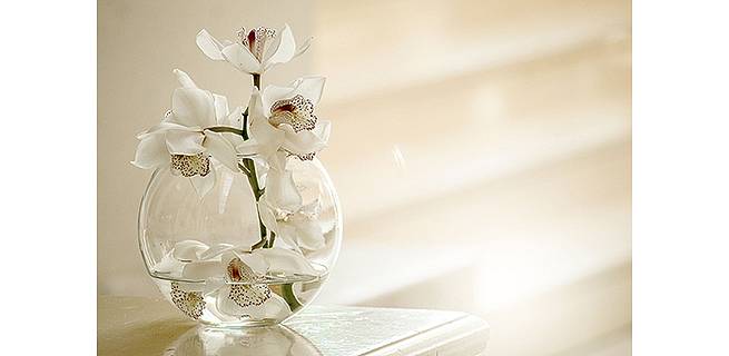 Jakou vázu zvolit, aby květina vynikla? | KvětinyOnline