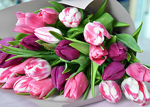 Jak se postarat o tulipány, aby ve váze vydržely co nejdéle?