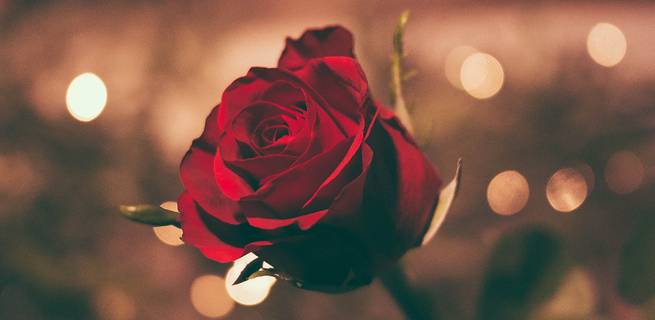 Na Valentýna potěší nejen kytička