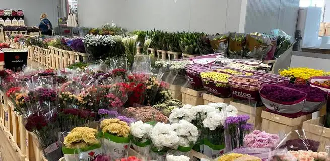 Velkoobchod s květinami