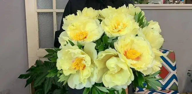 Peonies belong not only in the wedding bouquet