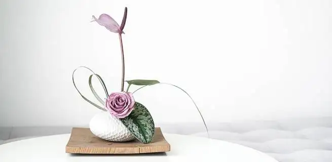 Flowers and their symbolism in different cultures