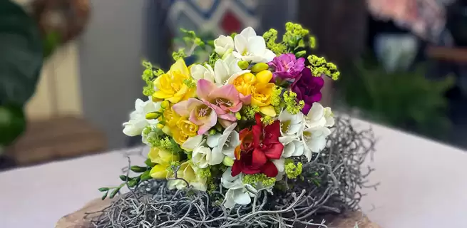 Freesias - beautiful flowers with a rich history and versatile use