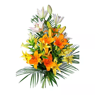 Fiery charm - lilies of the Netherlands