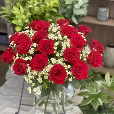 Překrásná - růže Kolumbie, Ekvádor