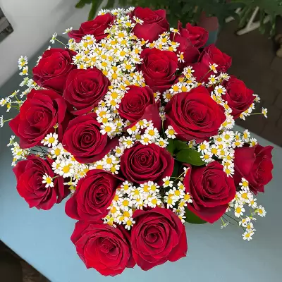 Beautiful - roses Colombia, Ecuador - 2