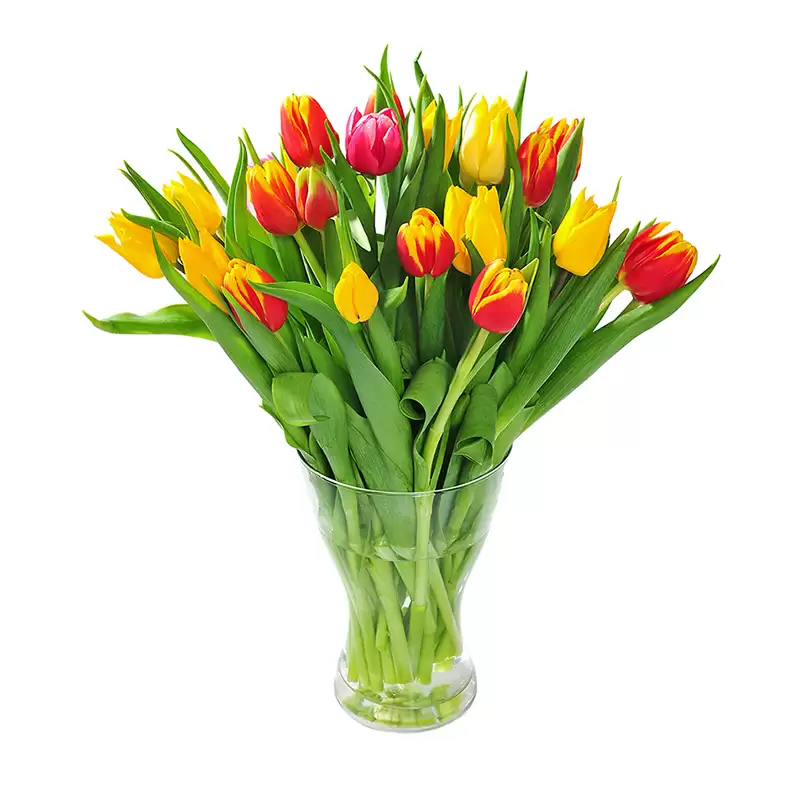 Tulips - design bunch of flowers