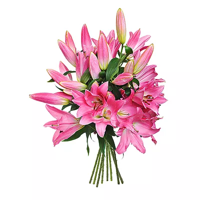 Lilies - design bunch of flowers