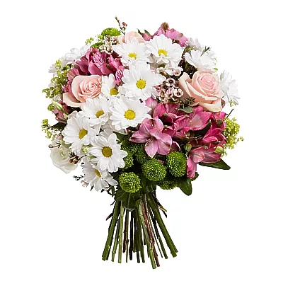 Just casually - roses, santini