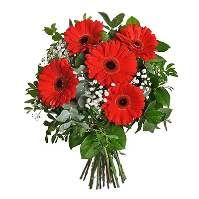 You are my love - gerberas, gypsophila