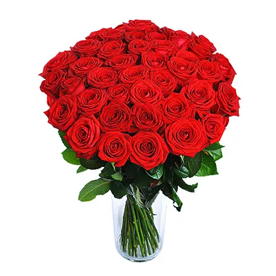 Red roses - design bunch of flowers