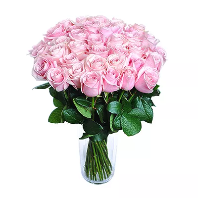 Pink roses - design bunch of flowers