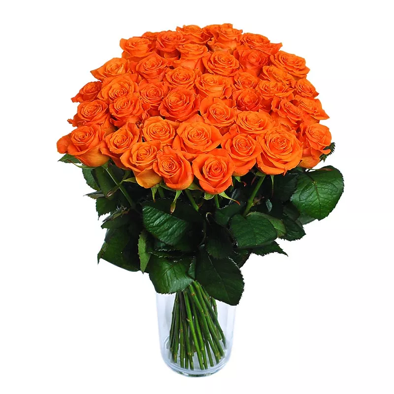 Orange roses - design bunch of flowers