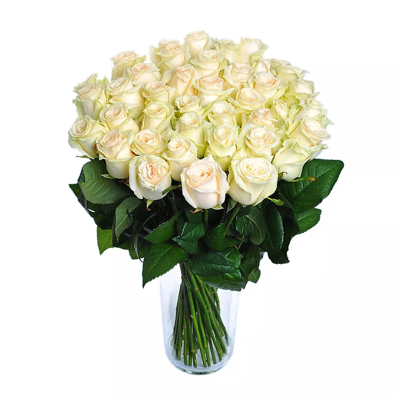 White roses - design bunch of flowers