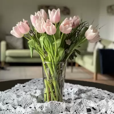 Růžové tulipány - Holandsko, Polsko