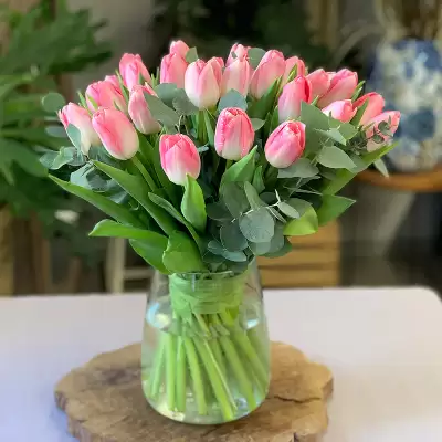 Pink tulips