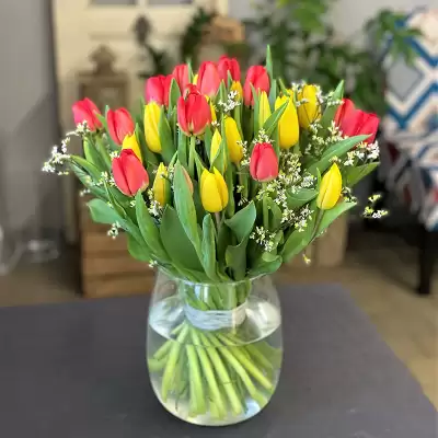 Тюльпаны смешивают цвета